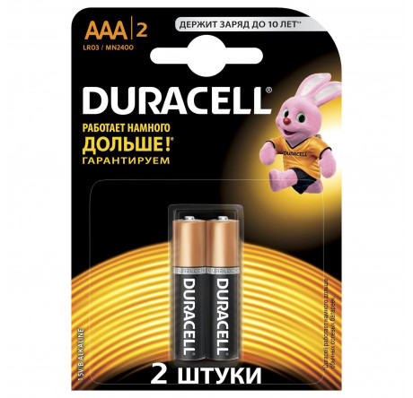 Duracell LR03-2BL BASIC Элемент питания  Duracell - pestovo-experts.ru – фото 1