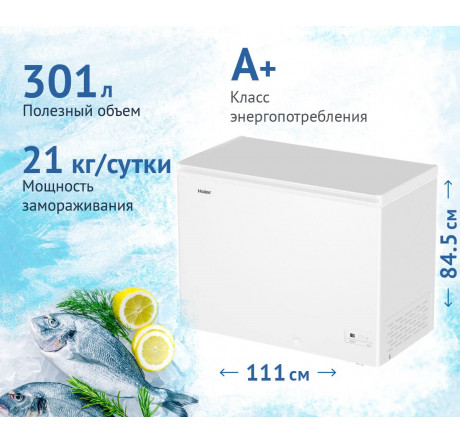 Haier HCE301R белый Морозильный ларь  HAIER - pestovo-experts.ru – фото 1