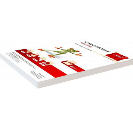 WHITE 100 Бумага A4/80г/м2/100л./белый матовое общего назначения(офисная) Creative - pestovo-experts.ru – фото 1