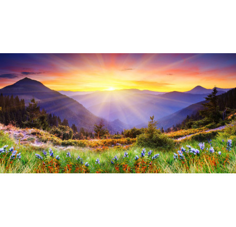 ЖК Doffler 24KH29 Doffler - pestovo-experts.ru – фото 1